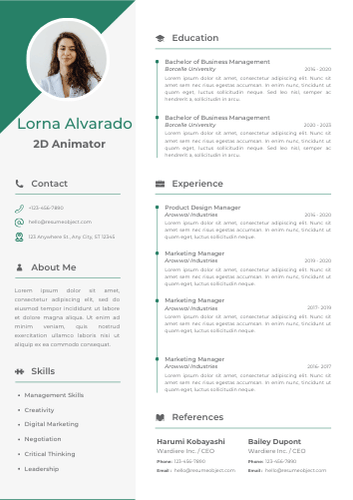 2D Animator Resume – Sample Format, Examples, Free Template