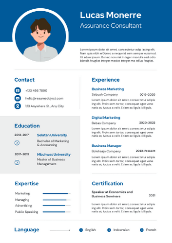 Assurance Consultant Resume