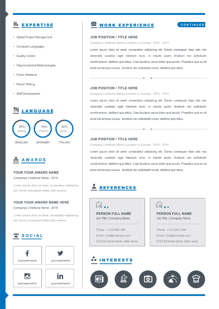 BlueVision Modern Resume Template Page 2 Preview