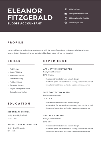 Budget Accountant Resume Examples & Download Free Template
