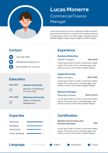 Commercial Finance Manager Resume Format, Objective Examples, Template