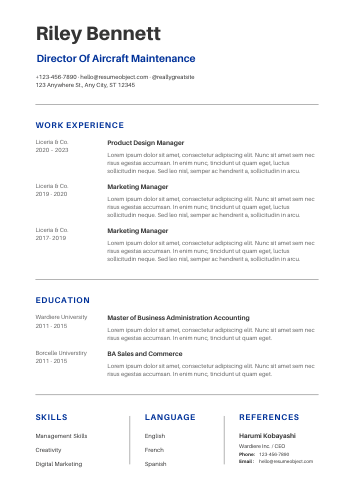 Director Of Aircraft Maintenance Resume