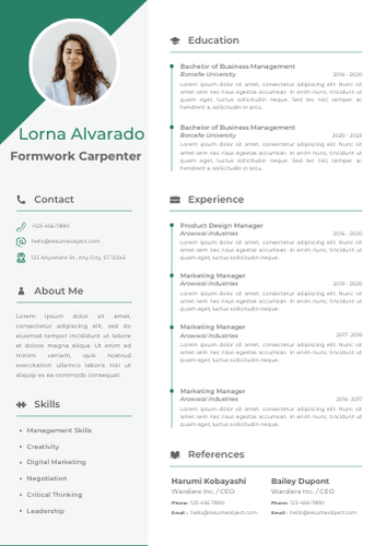 Formwork Carpenter Resume Format, Summary, Skills, Duties