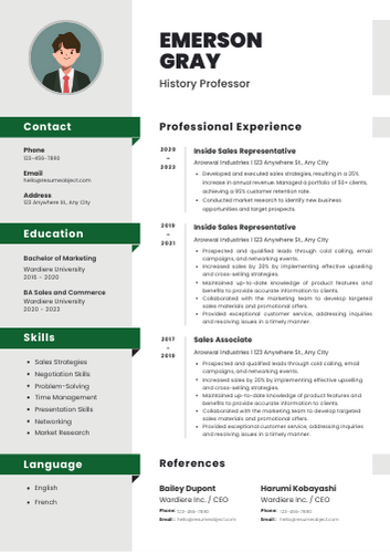 History Professor Resume Format, Summary, Skills, Duties