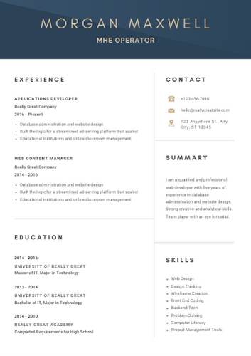 MHE Operator Resume Examples & Download Free Template