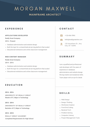 Mainframe Architect Resume Examples & Download Free Template