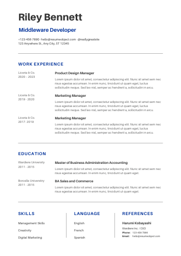 Middleware Developer Resume Examples & Download Free Template