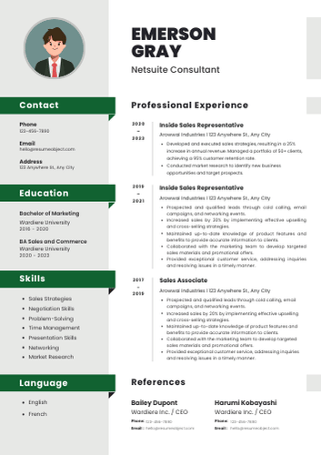 Netsuite Consultant Resume Examples & Download Free Template