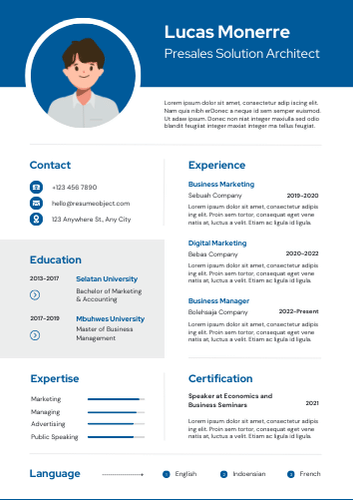 Presales Solution Architect Resume Examples & Download Free Template