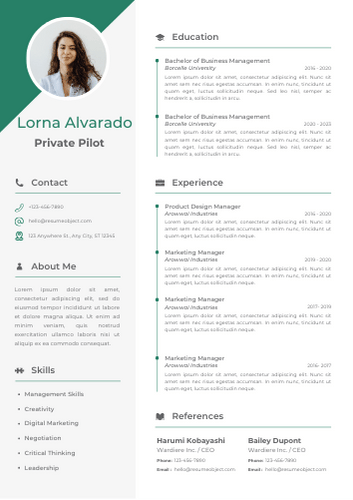 Private Pilot Resume