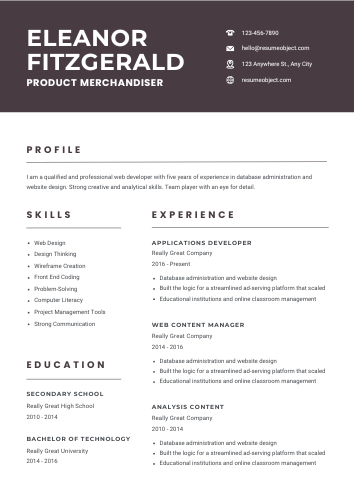 Product Merchandiser Resume Examples & Download Free Template