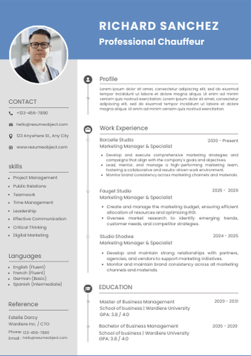 Professional Chauffeur Resume