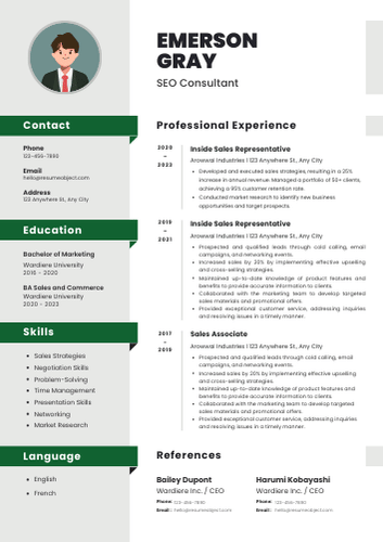 SEO Consultant Resume Examples & Download Free Template
