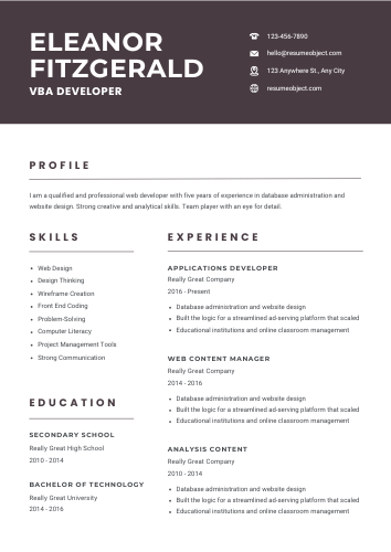 VBA Developer Resume – Free Template, 30+ Examples