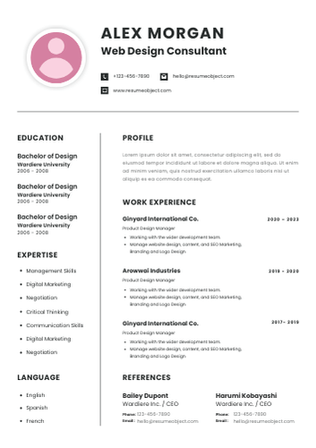 Web Design Consultant Resume
